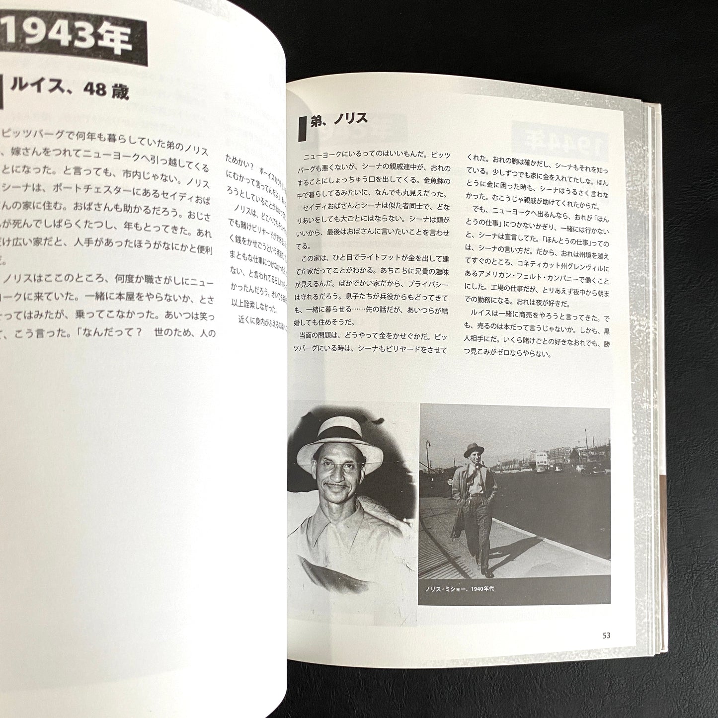 No Crystal Stair: A Documentary Novel of the Life and Work of Lewis Michaux, Harlem Bookseller