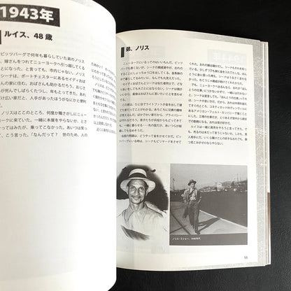 No Crystal Stair: A Documentary Novel of the Life and Work of Lewis Michaux, Harlem Bookseller