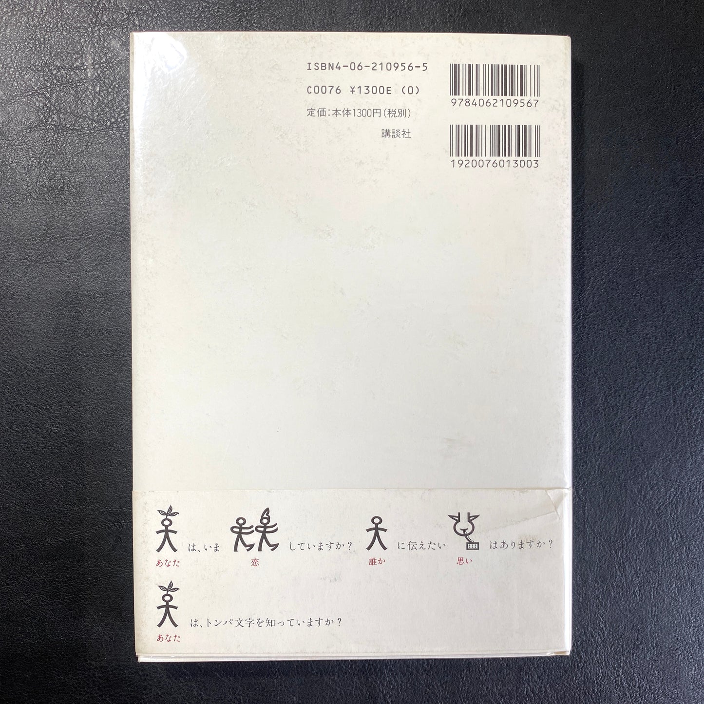 Dongba Den heart of Katsumi Asaba