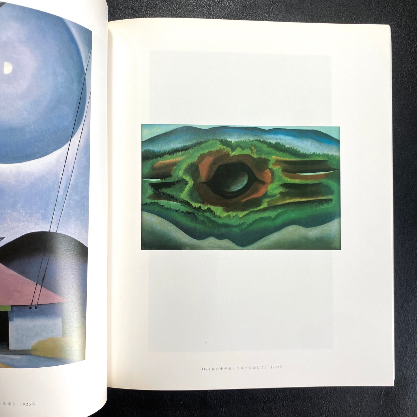 Georgia O'Keeffe American and Modern