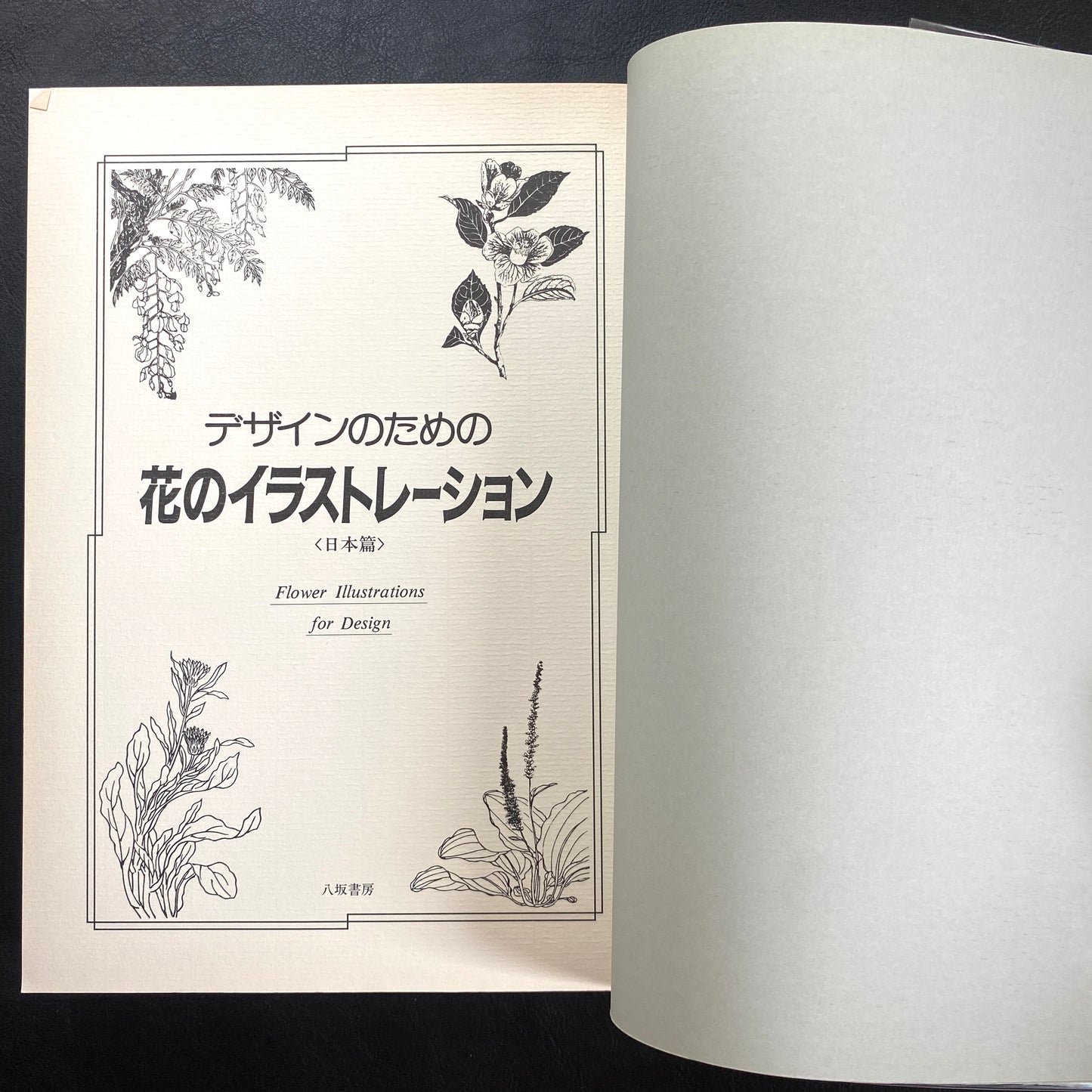 Floral illustrations for design