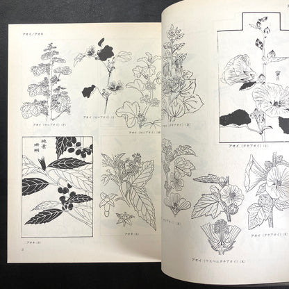 Floral illustrations for design