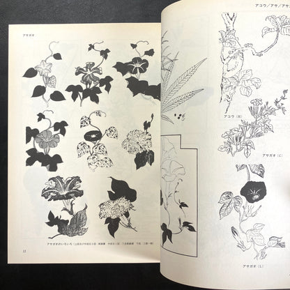 Floral illustrations for design