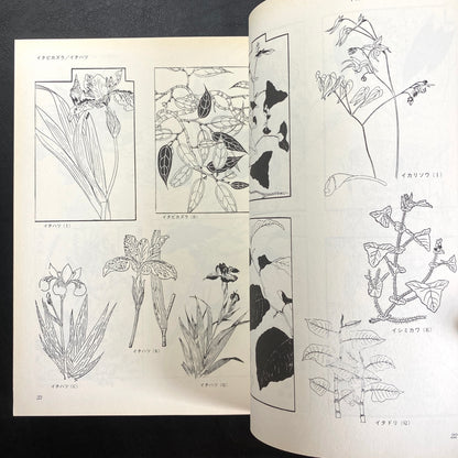 Floral illustrations for design