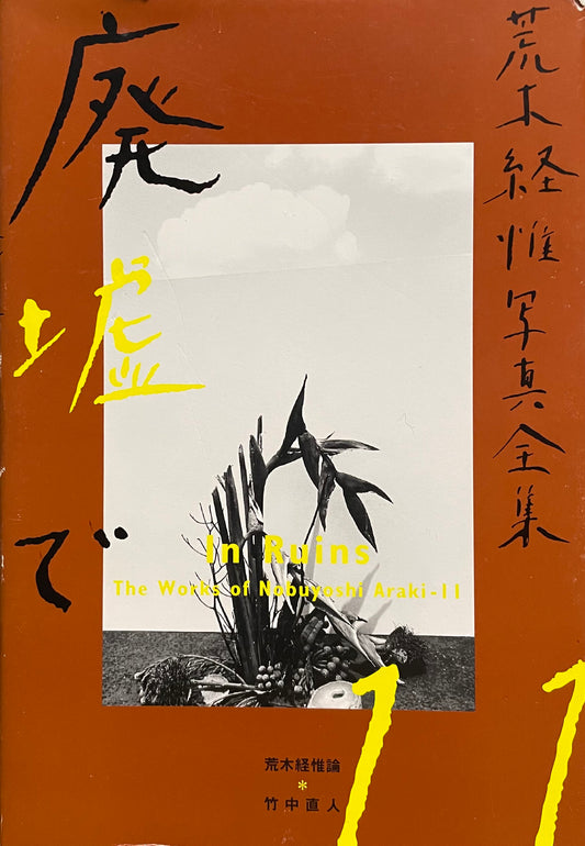 In Ruins The work of Nobuyoshi Araki 11