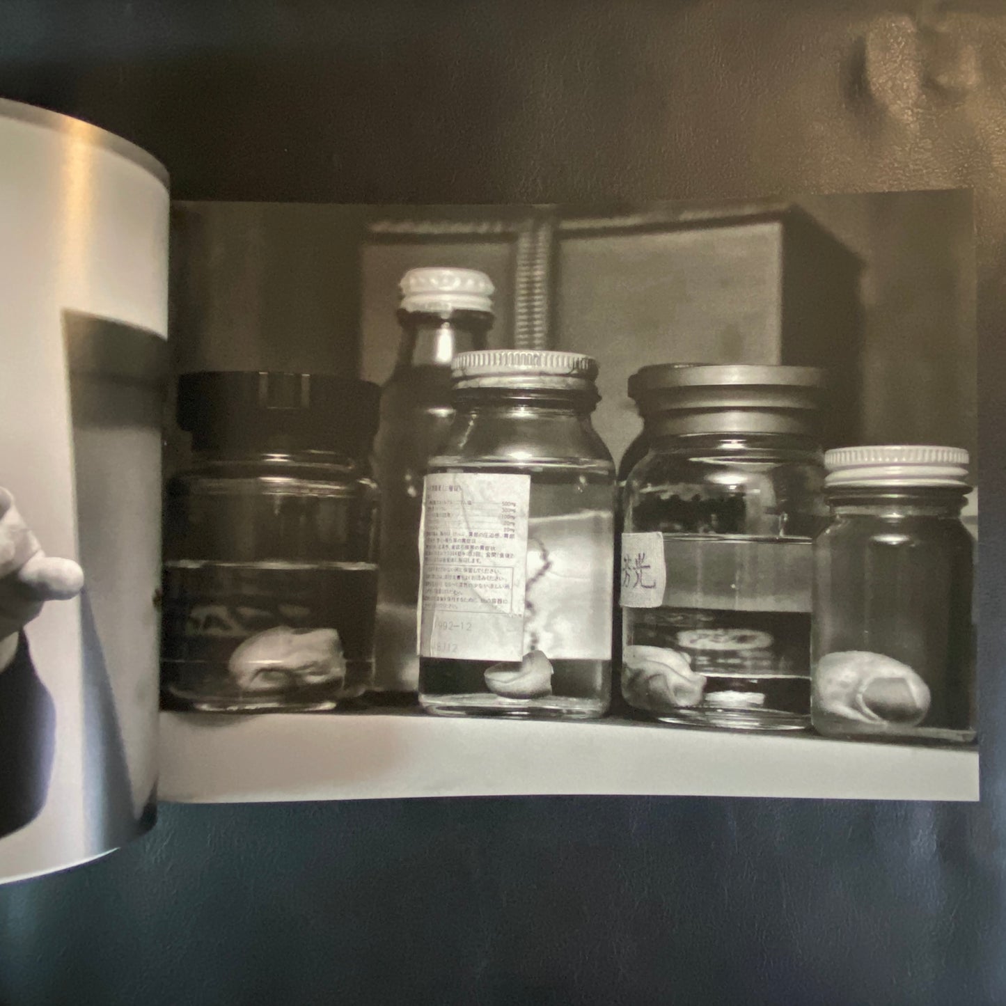 Shinjuku Maigo - (Lost in Shinjuku)