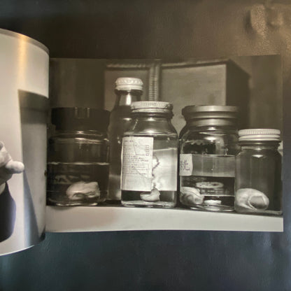 Shinjuku Maigo - (Lost in Shinjuku)