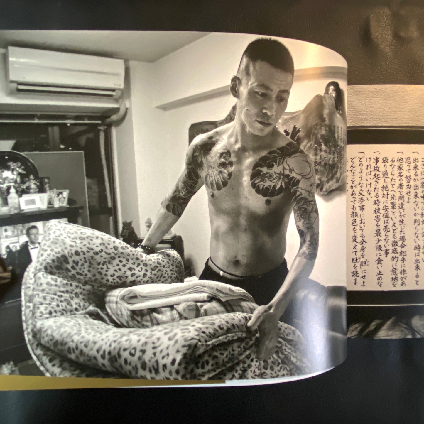 Shinjuku Maigo - (Lost in Shinjuku)