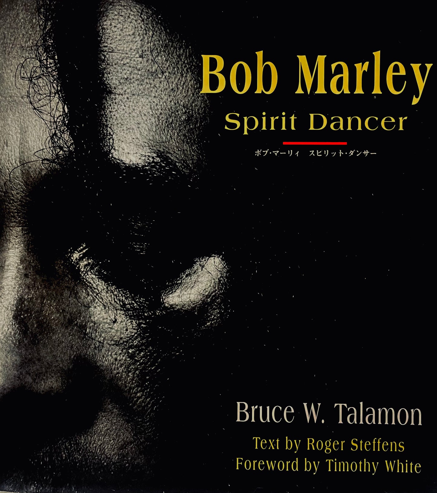 Bob Marley: Spirit Dancer