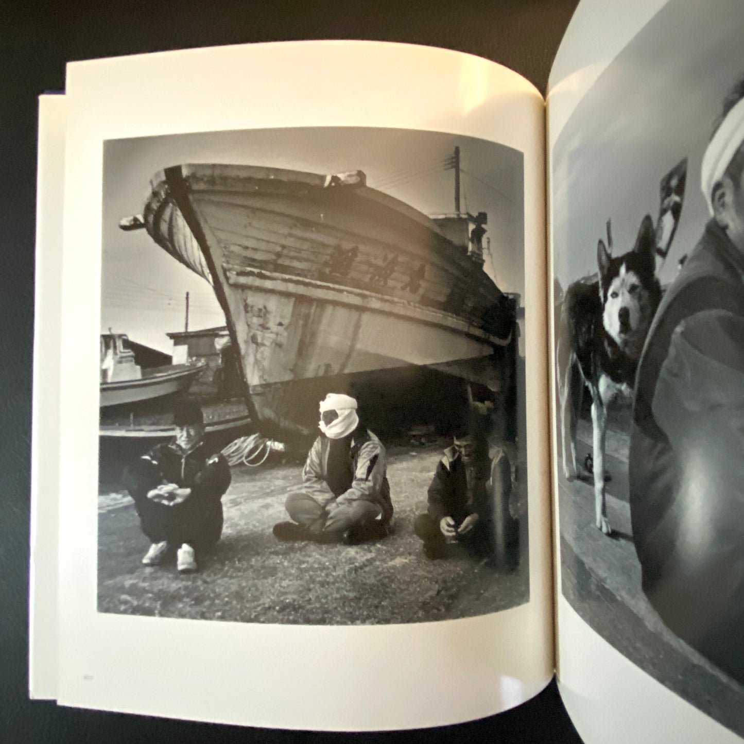 The remaining flowers - Hiroyasu Nakai