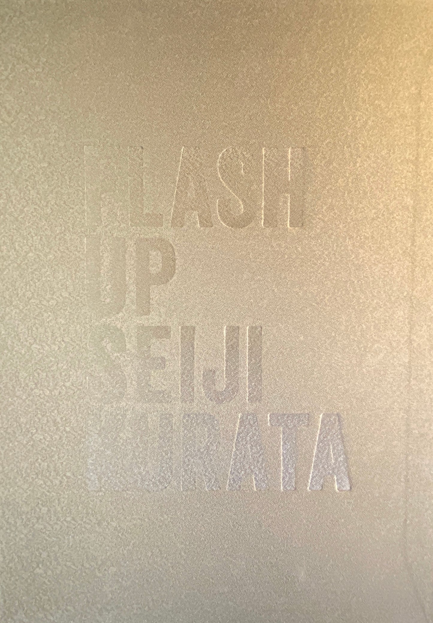 Flash Up - Street Photo Random Tokyo 1975-1979 - Seiji Kurata