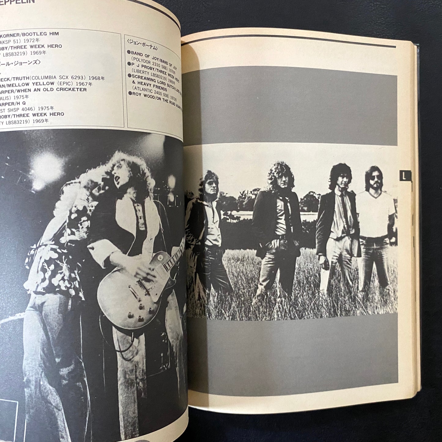 Rock Masterpieces, Record & Video Guide 30th Anniversary