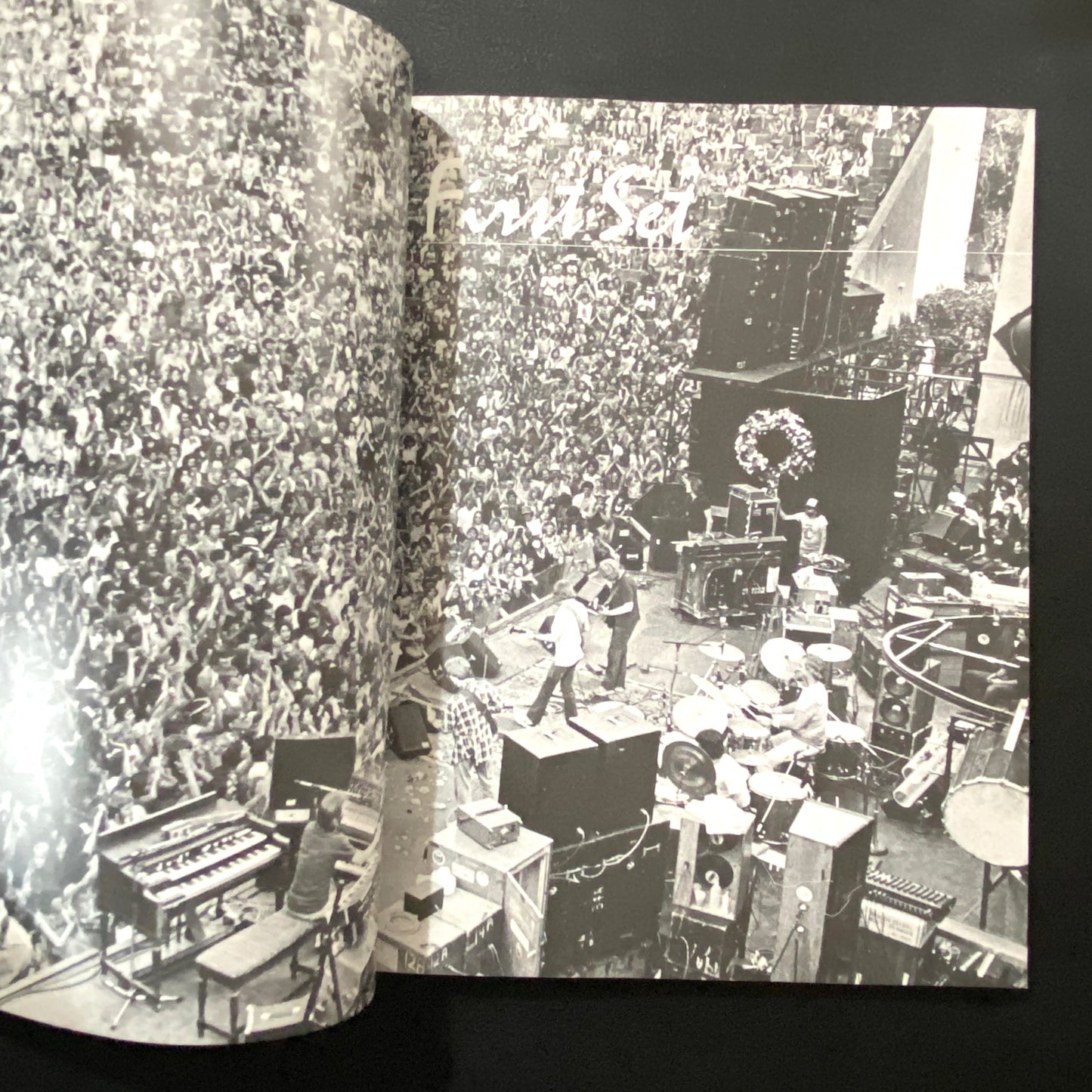 Grateful Dead: The Official Book of the Dead Heads
