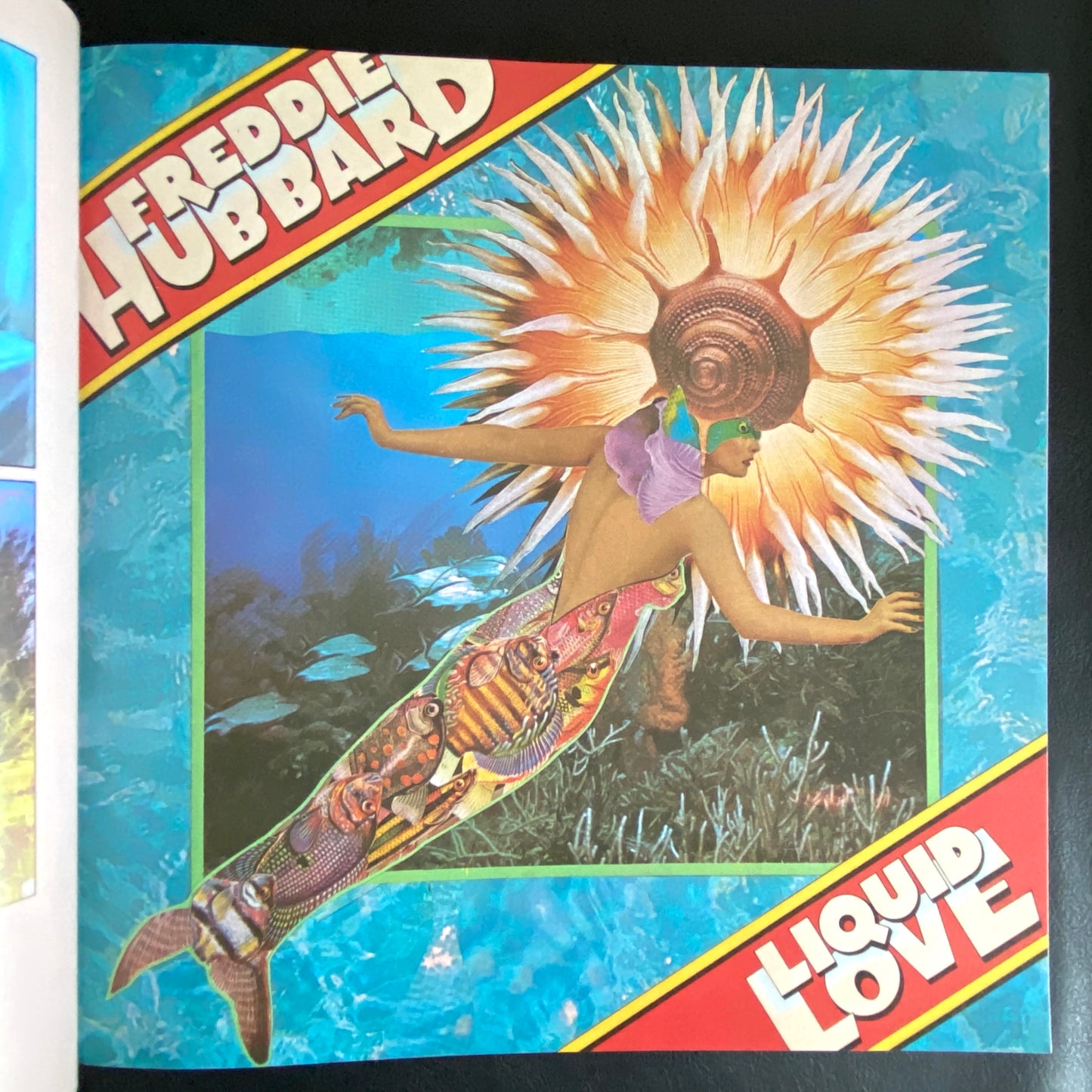 Album Cover Album 4 - Omnibus Edition