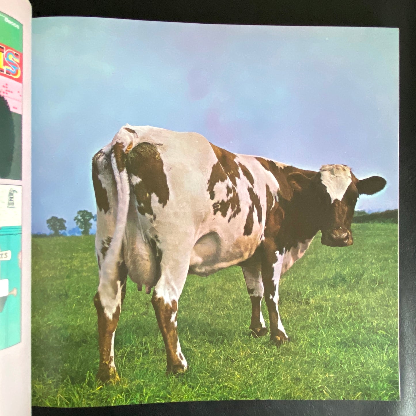 Album Cover Album 4 - Omnibus Edition