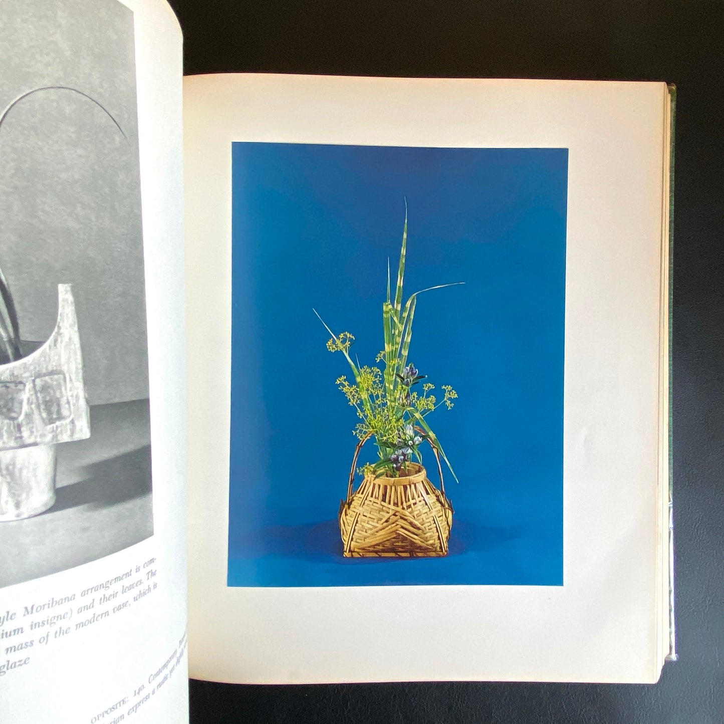 The Art of Arranging Flowers : a Complete Guide to Japanese Ikebana