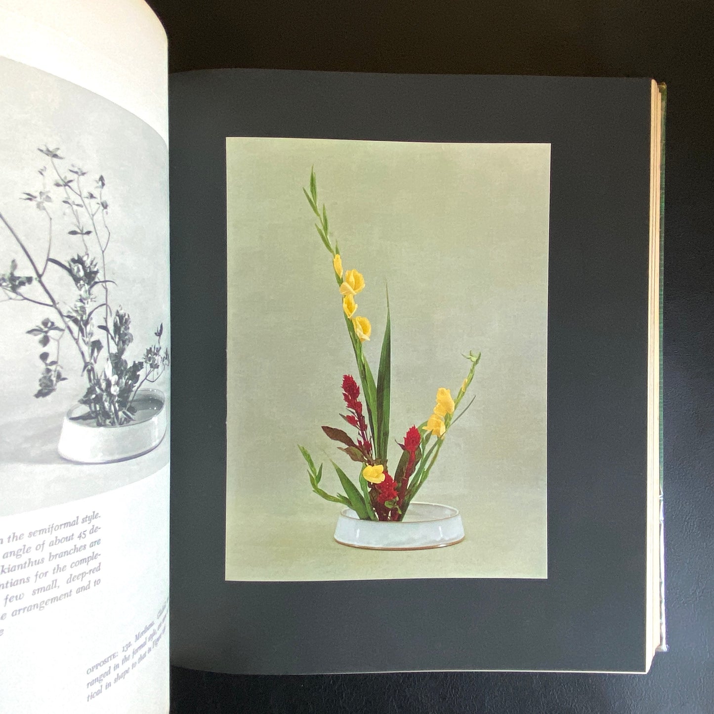 The Art of Arranging Flowers : a Complete Guide to Japanese Ikebana