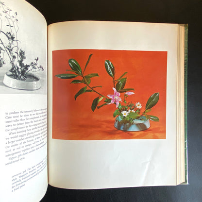 The Art of Arranging Flowers : a Complete Guide to Japanese Ikebana