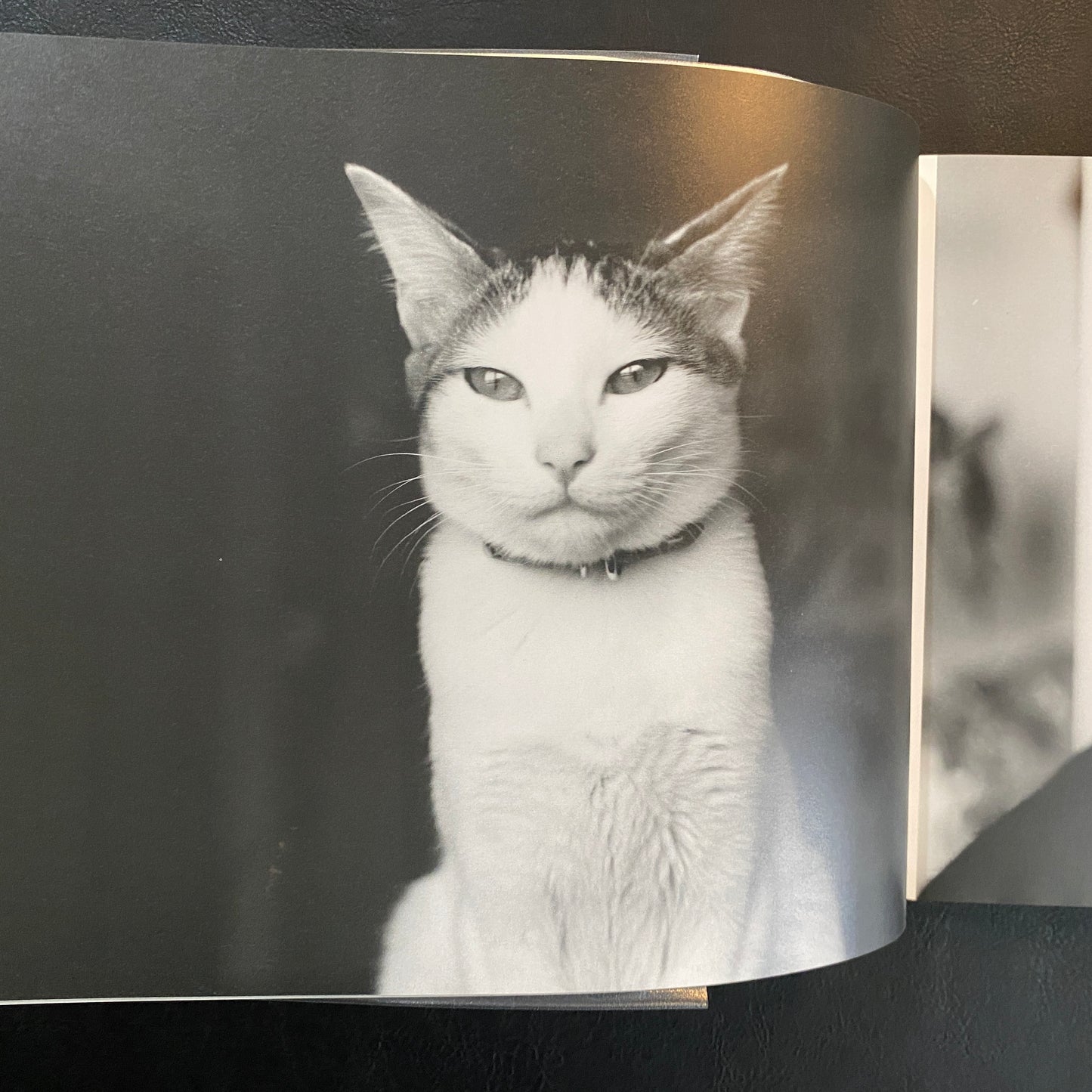 TOKYO STORY NOBUYOSHI ARAKI