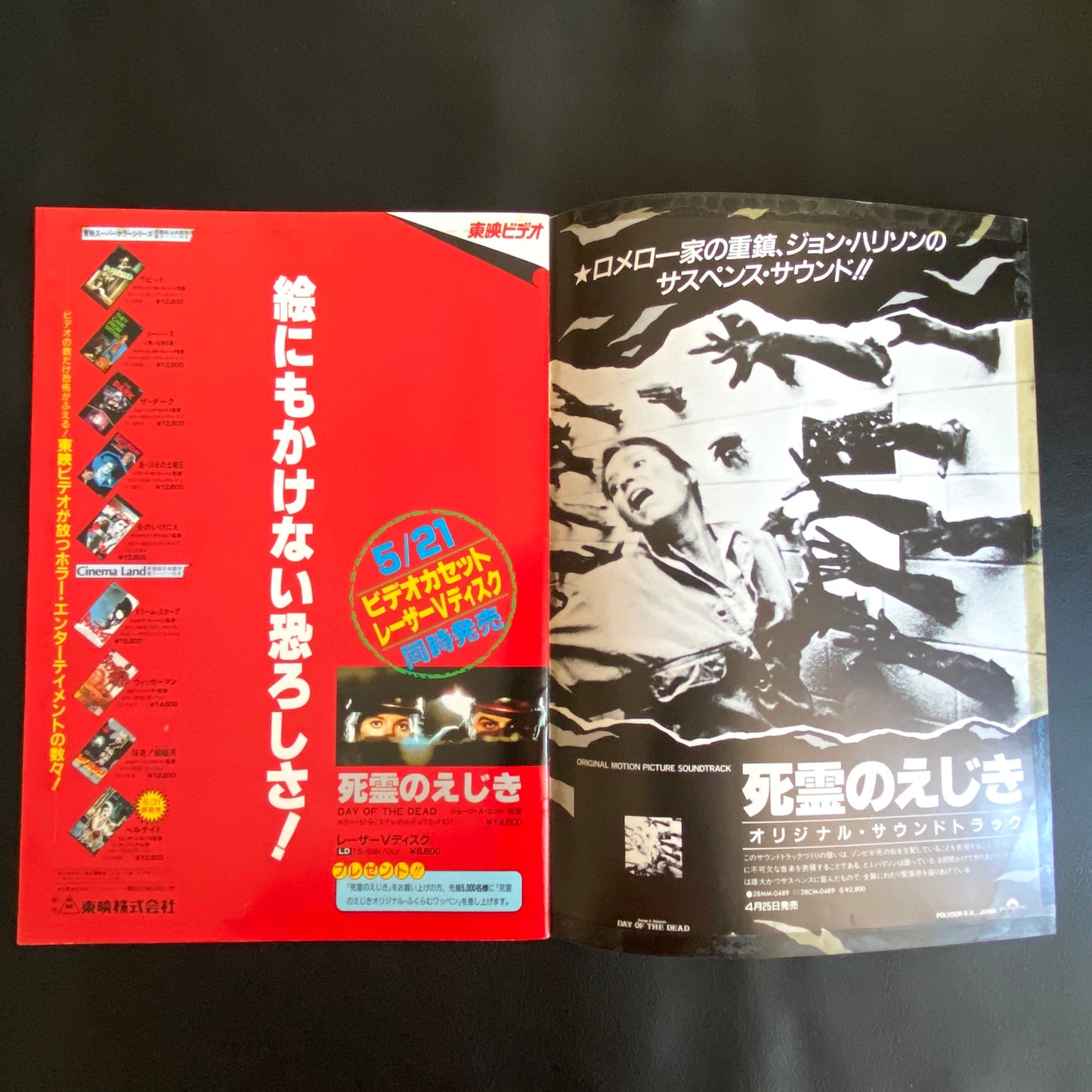 Day of the Dead movie pamphlet japanese version