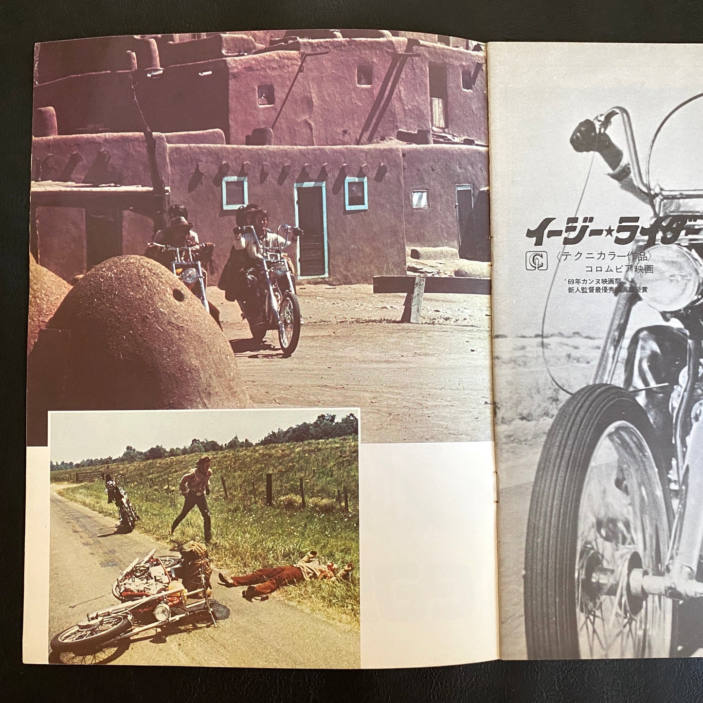 Easy Rider Flyer First Edition Pamphlet japanese version