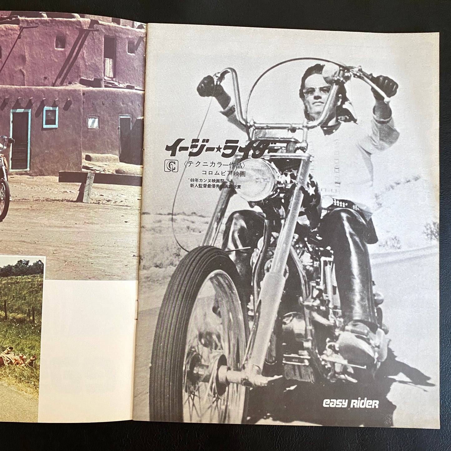 Easy Rider Flyer First Edition Pamphlet japanese version
