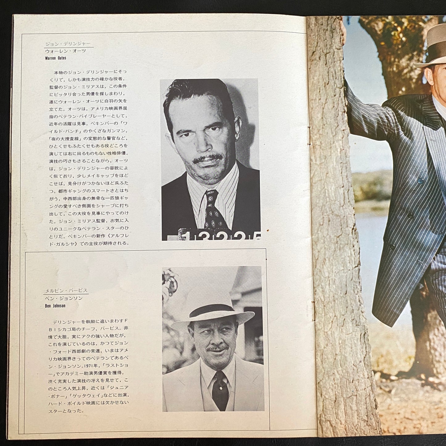 Dillinger John Milius Warren Oates Ben Johnson '70 Japan Movie Program Book