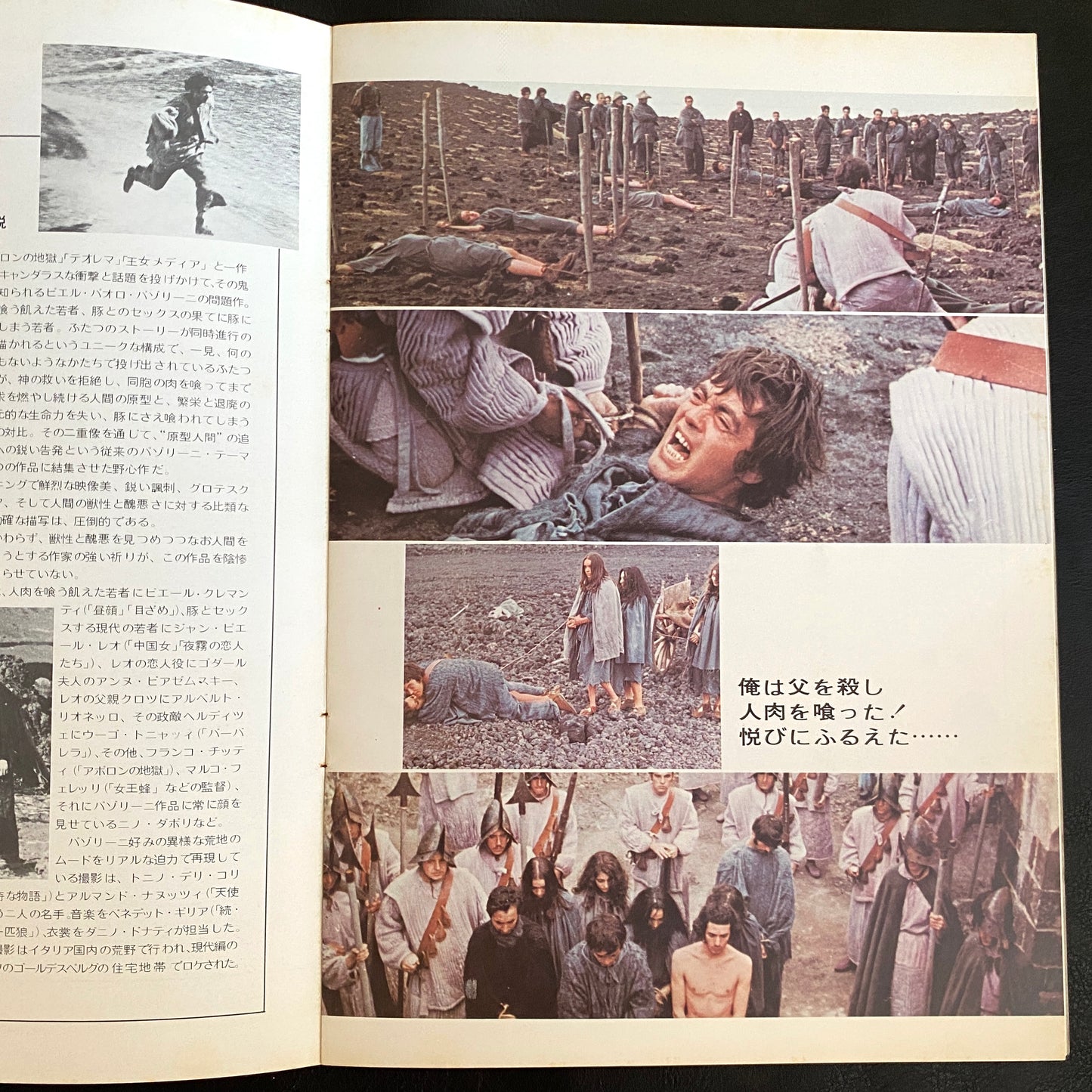 Porcile movie brochure japanese version
