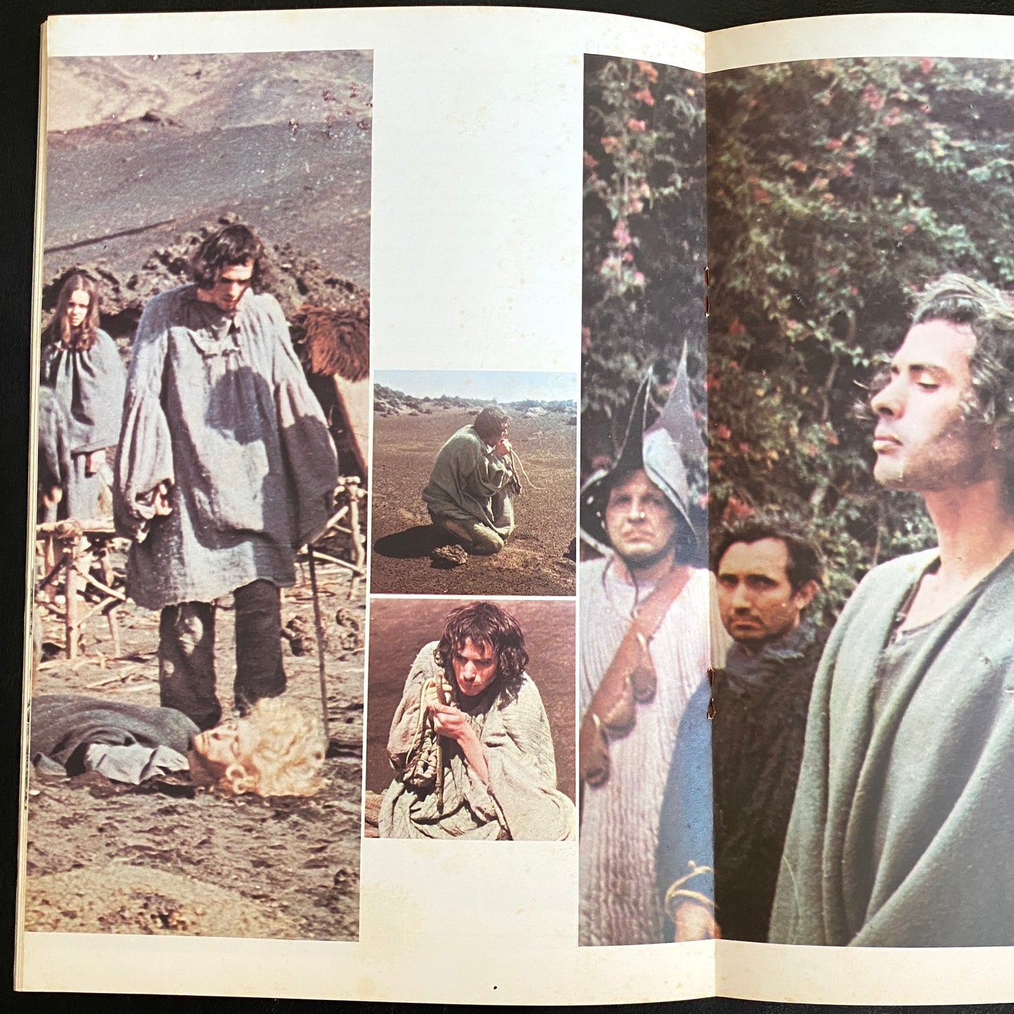 Porcile movie brochure japanese version