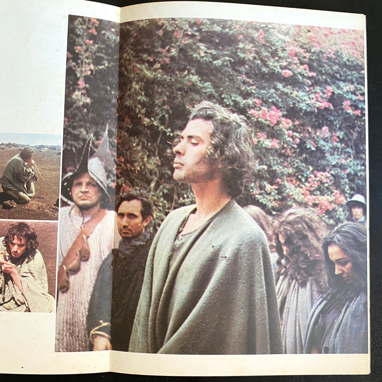 Porcile movie brochure japanese version