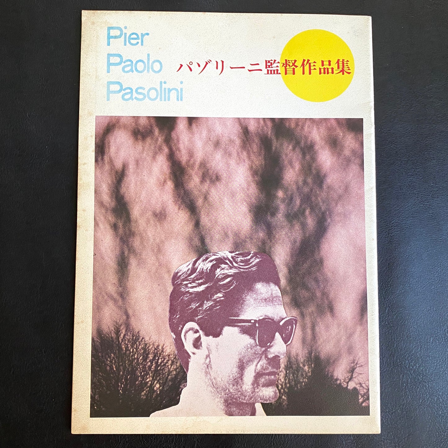 Pier Paolo Pasolini Director's Works Japanese Version