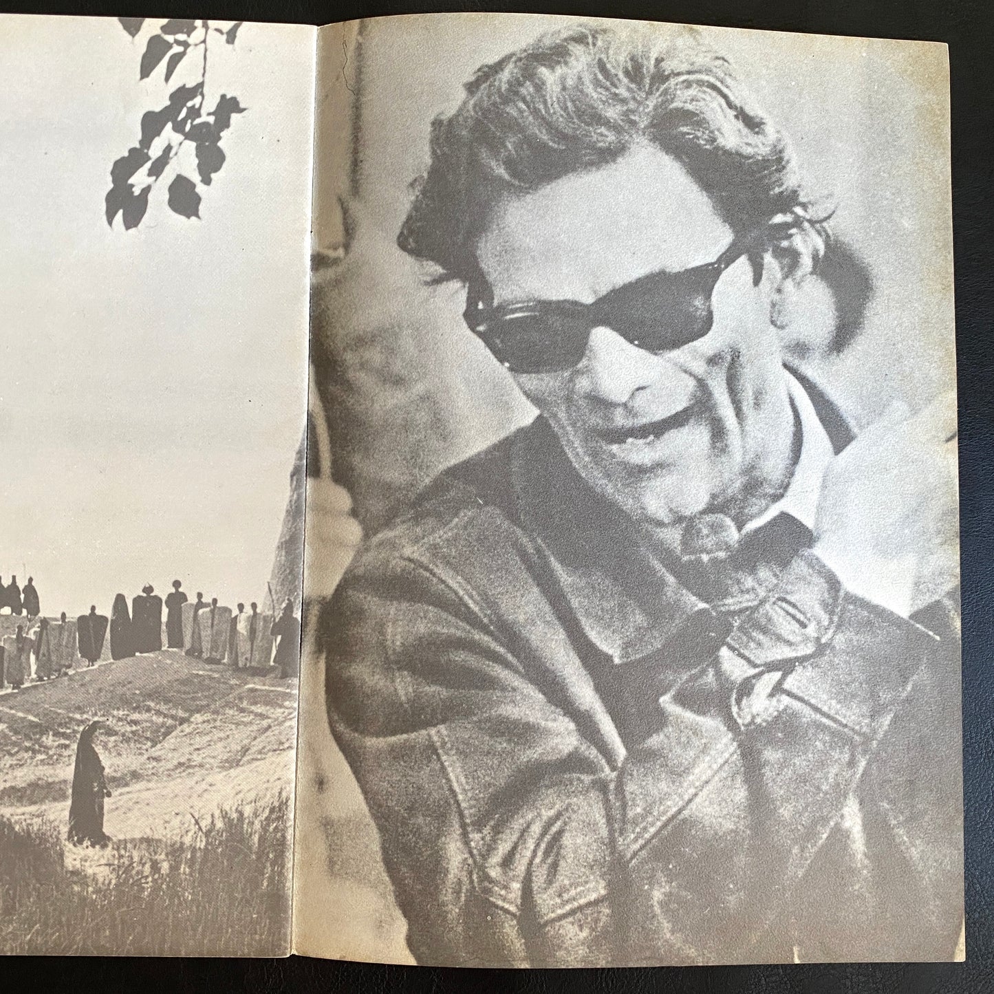 Pier Paolo Pasolini Director's Works Japanese Version