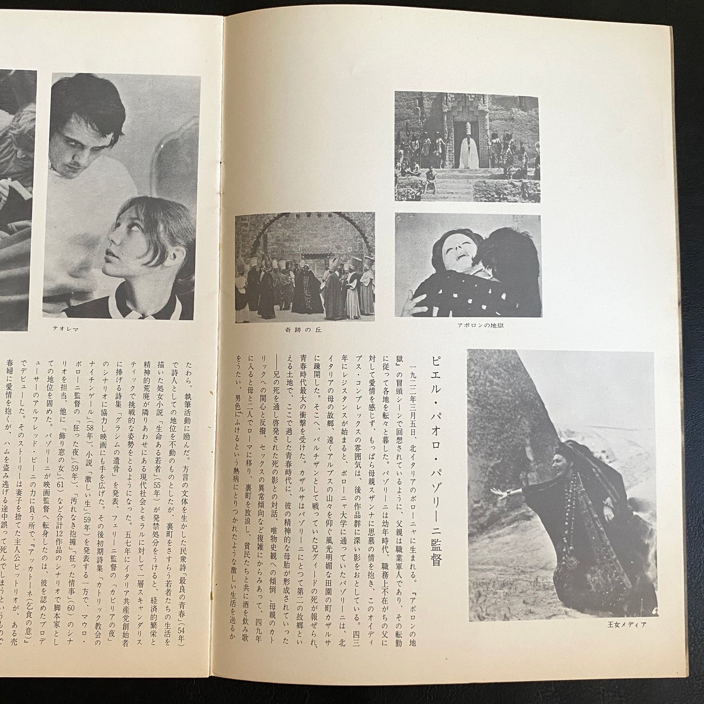 Pier Paolo Pasolini Director's Works Japanese Version