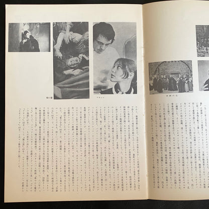 Pier Paolo Pasolini Director's Works Japanese Version