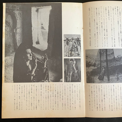 Pier Paolo Pasolini Director's Works Japanese Version