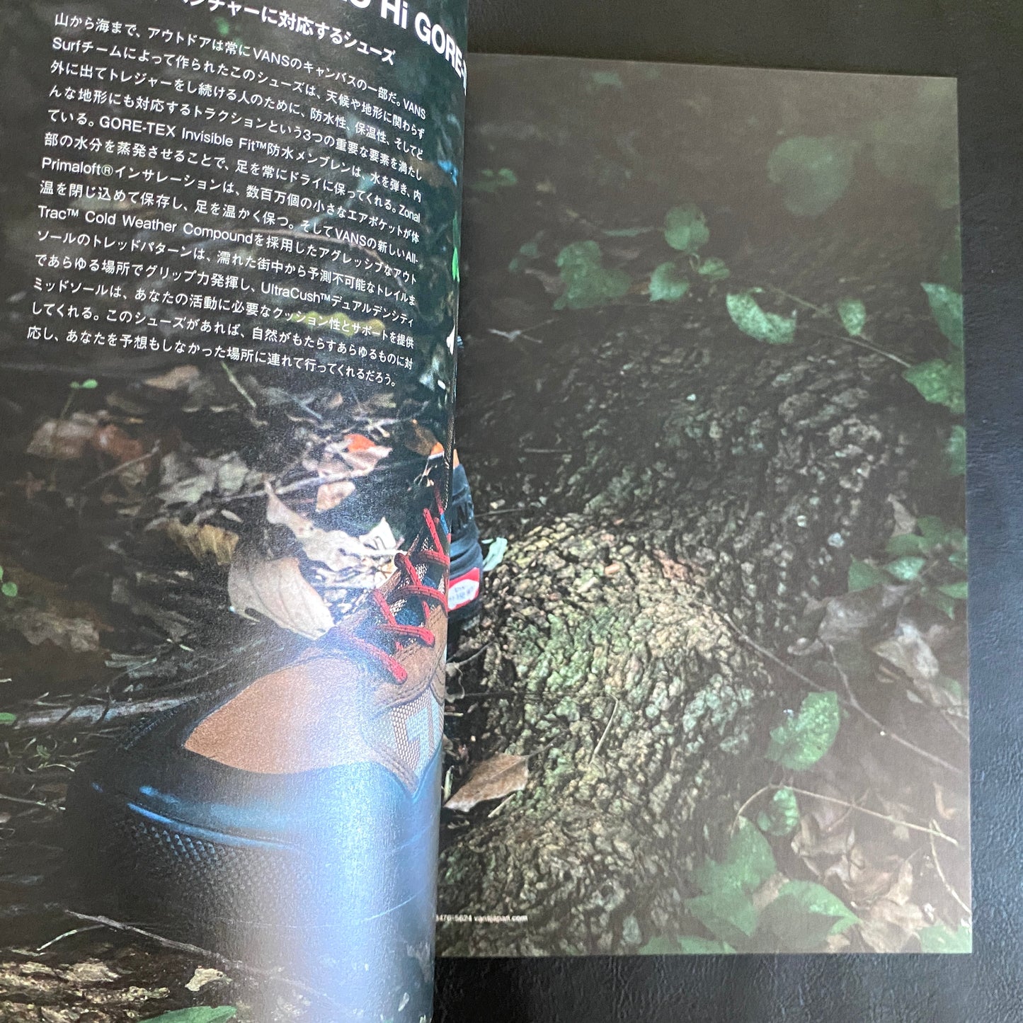 HIDDEN CHAMPION Issue#62