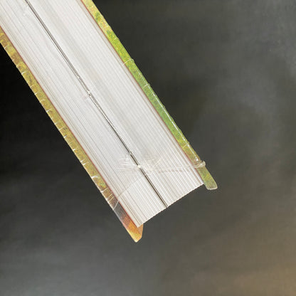 Visual Music by Christopher Scoates