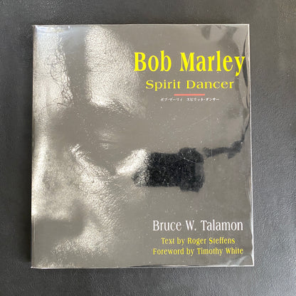 Bob Marley: Spirit Dancer