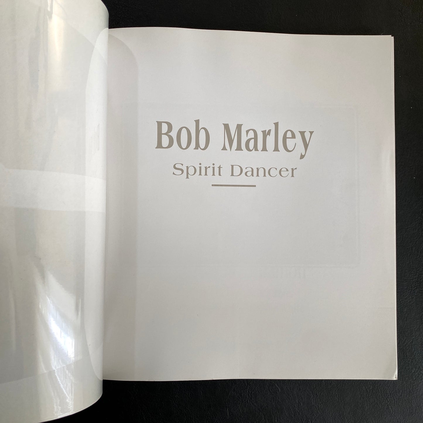 Bob Marley: Spirit Dancer