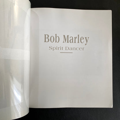 Bob Marley: Spirit Dancer