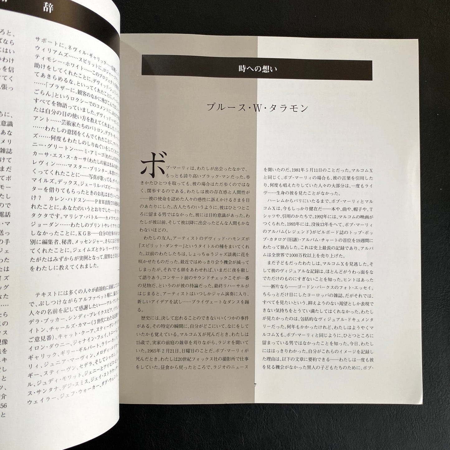 Bob Marley: Spirit Dancer