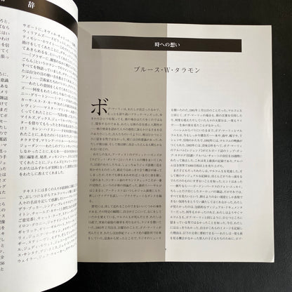 Bob Marley: Spirit Dancer