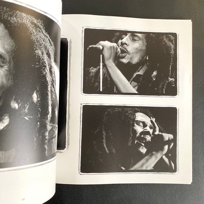 Bob Marley: Spirit Dancer