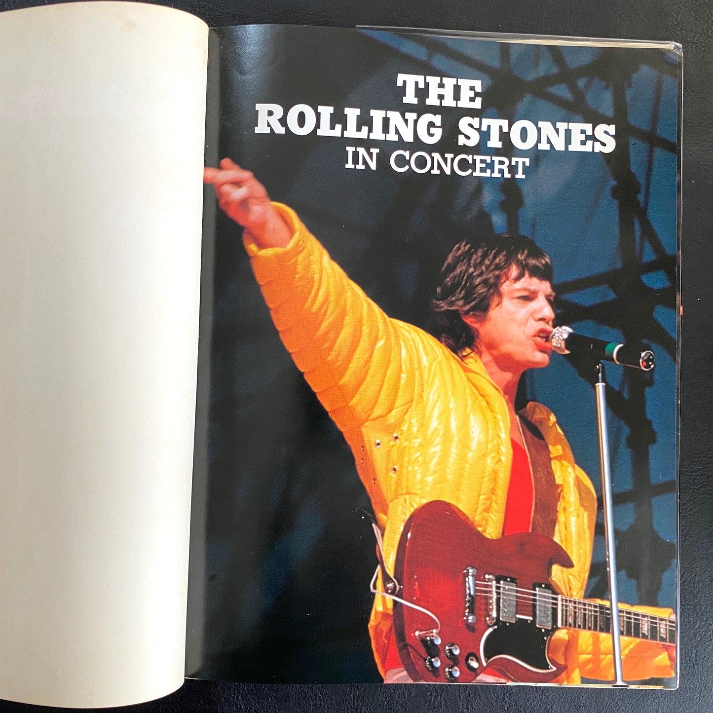 Rolling Stones in Concert