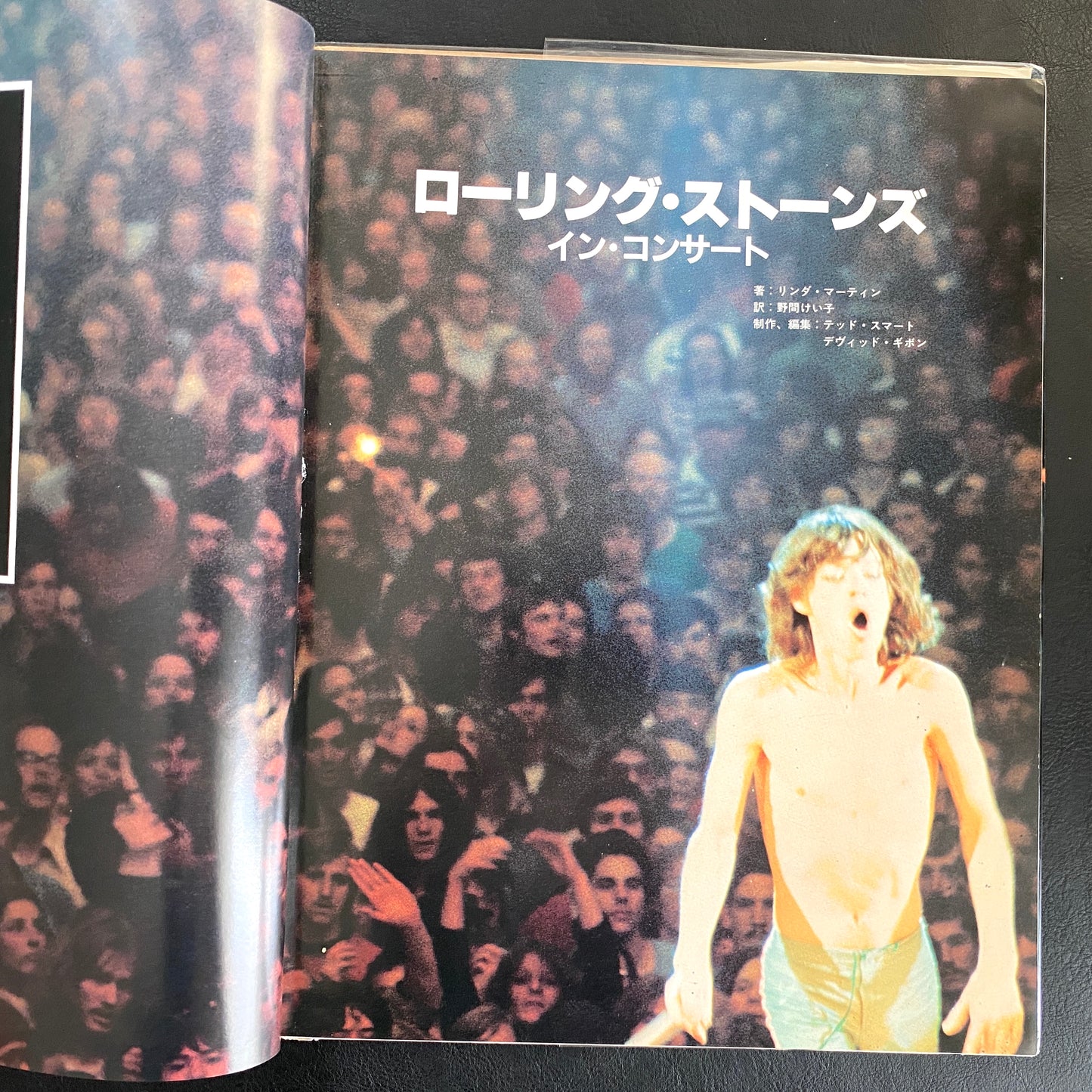 Rolling Stones in Concert