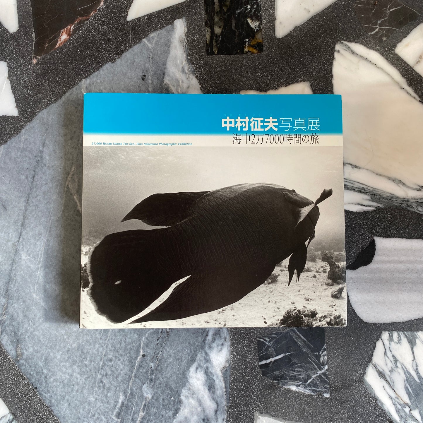 Masao Nakamura Photography Exhibition: 27,000 Hours Underwater