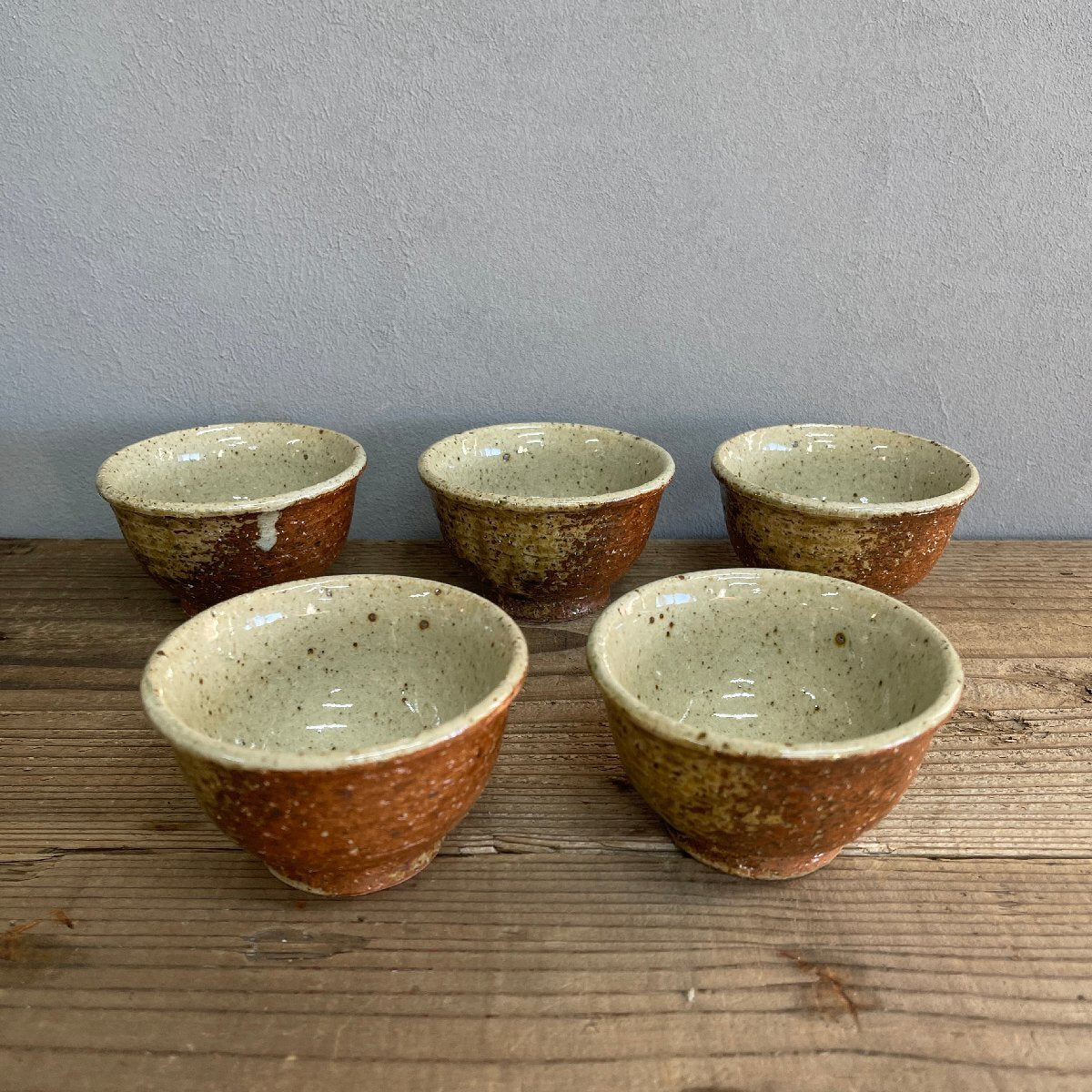 Shigaraki Pottery Tea Set