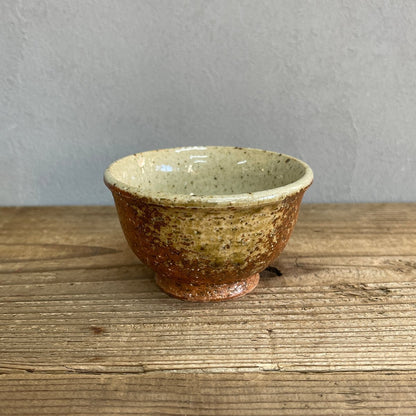 Shigaraki Pottery Tea Set