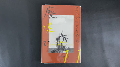 In Ruins The work of Nobuyoshi Araki 11