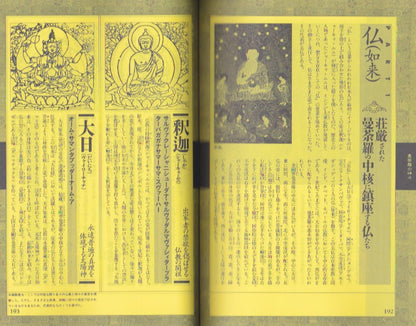 Tibetan Esoteric Buddhism (NEW SIGHT MOOK Books Esoterica Vol.11)